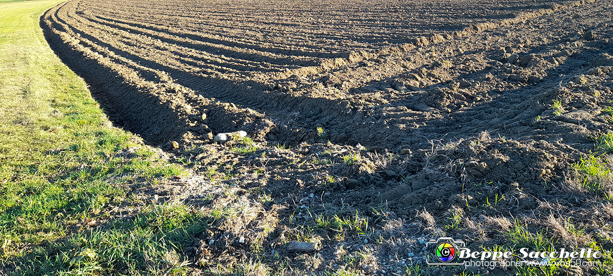20230110_154601 - Dalla terra... il grano.jpg